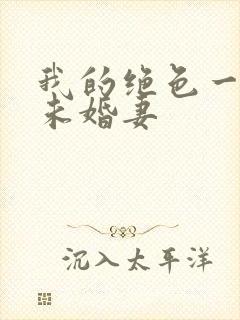 我的绝色一总裁未婚妻