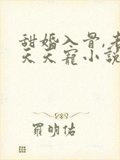 甜婚入骨,老公天天宠小说