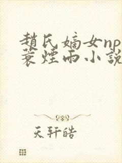 赵氏嫡女np一蓑烟雨小说全文免费