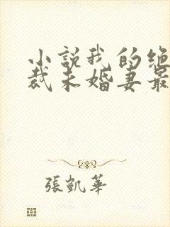 小说我的绝色总裁未婚妻最新章节