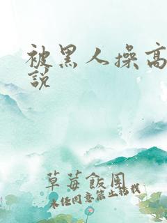 被黑人操高潮小说