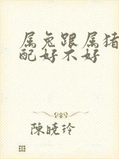 属兔跟属猪的婚配好不好