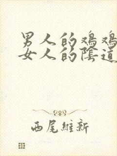 男人的鸡鸡插进女人的阴道里