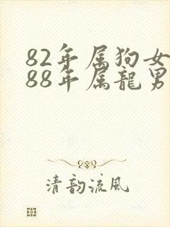 82年属狗女和88年属龙男的婚姻