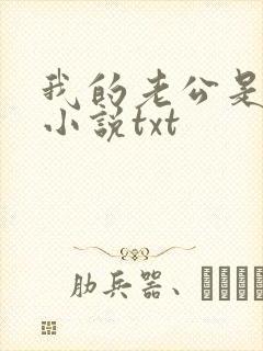 我的老公是冥王小说txt