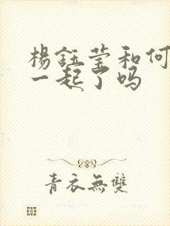 杨钰莹和何炅在一起了吗