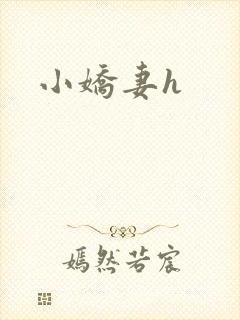 小娇妻h