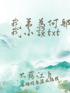我弟为何那样看我小说txt