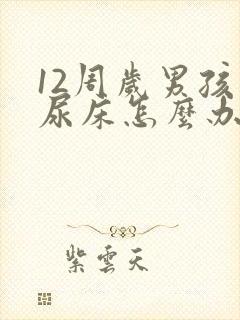 12周岁男孩还尿床怎么办