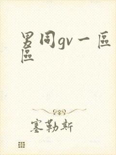 男同gv一区二区