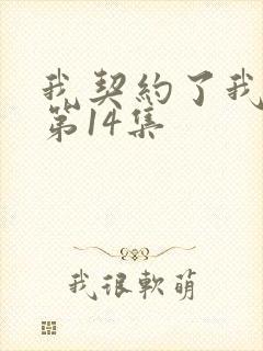 我契约了我自己第14集