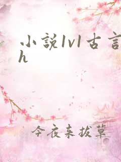 小说1v1古言h