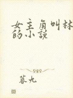 女主角叫林星澜的小说