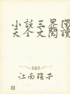 小说三界独尊犁天全文阅读免费