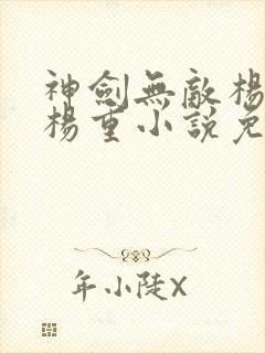 神剑无敌杨小天杨重小说免费阅读