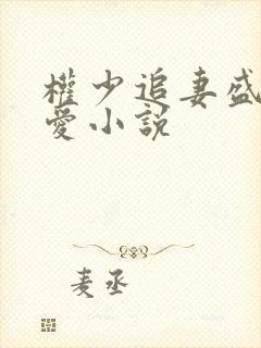 权少追妻盛婚秘爱小说