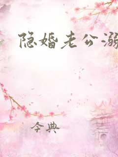 隐婚老公溺宠妻