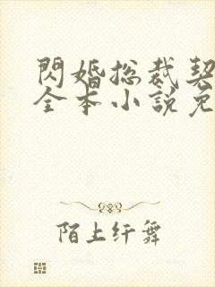 闪婚总裁契约妻全本小说免费阅读