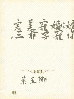 完美宠婚:娇妻,三爷要宠你一橙