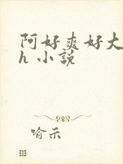 阿好爽好大好硬h 小说