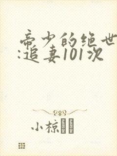 帝少的绝世宠婚:追妻101次