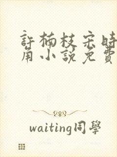 许楠枝宋时烨主角小说免费阅读