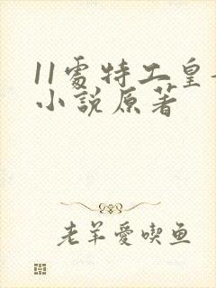 11处特工皇妃小说原著