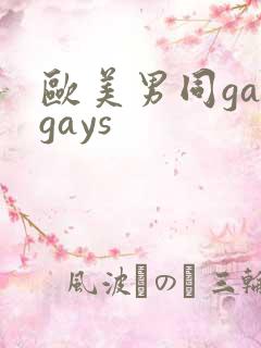 欧美男同gaygays