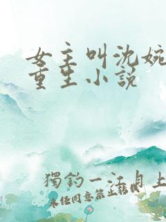 女主叫沈婉婉的重生小说