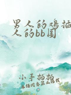 男人的鸡插入女人的bb图