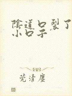 阴道口裂了一个小口子