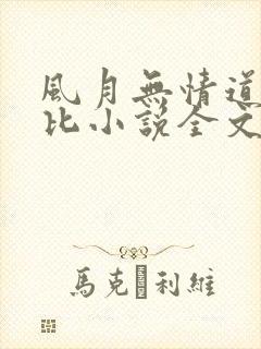 风月无情道比卡比小说全文免费阅读笔趣阁