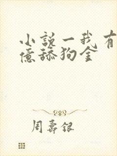 小说一我有十万亿舔狗金