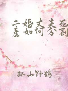 二婚丈夫死后遗产如何分割