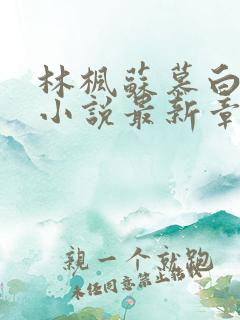 林枫苏慕白穿越小说最新章节773