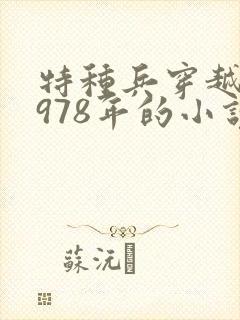 特种兵穿越回1978年的小说