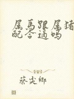 属马跟属猪的婚配合适吗