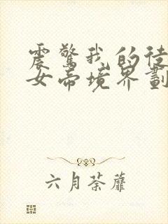 震惊我的徒弟是女帝境界划分