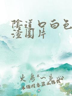 阴道口白色豆腐渣图片