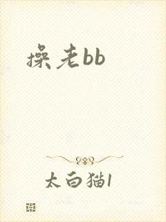 操老bb