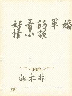 好看的军婚类言情小说