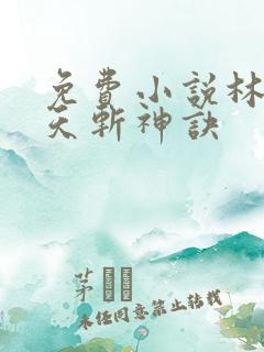 免费小说林辰九天斩神诀