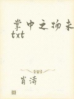 掌中之物未删减txt