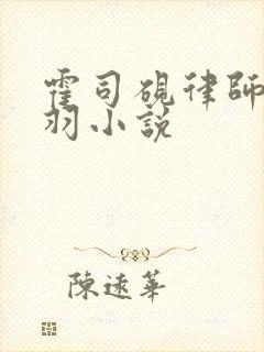 霍司砚律师温知羽小说