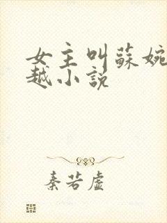 女主叫苏婉的穿越小说