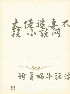 大佬追妻不择手段 小说网