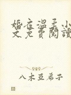 婚夜温柔小说全文免费阅读