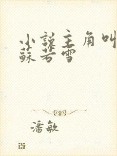 小说主角叫沈浪苏若雪