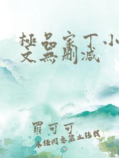 极品家丁小说全文无删减