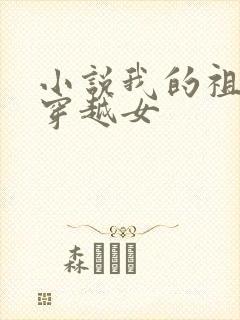 小说我的祖母是穿越女